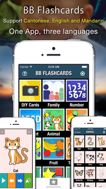 BB FlashCards Lite