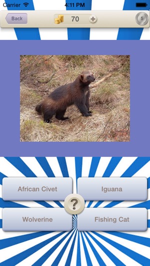 Animals Guess Quiz