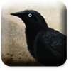 Munin
