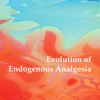 Evolution of Endogenous Analgesia