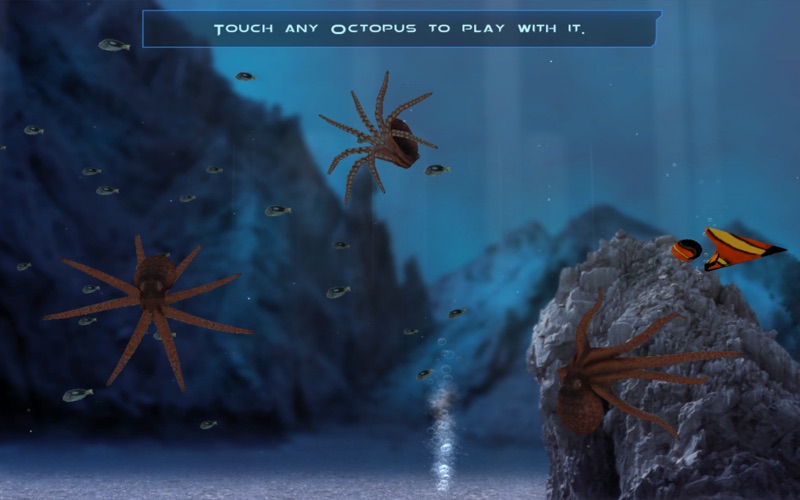 Under the Sea thumbnail 3
