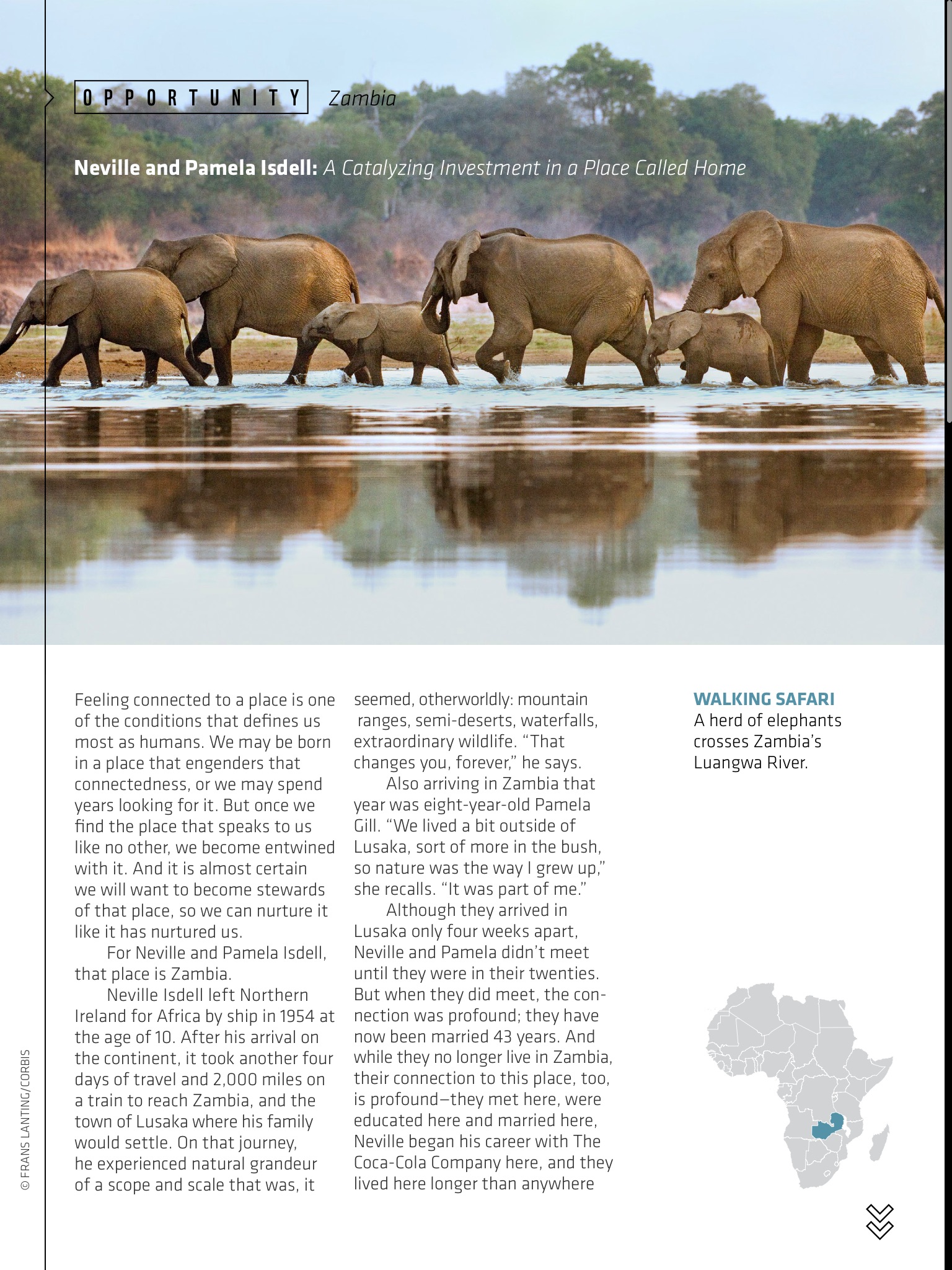 World Wildlife Magazine screenshot 3