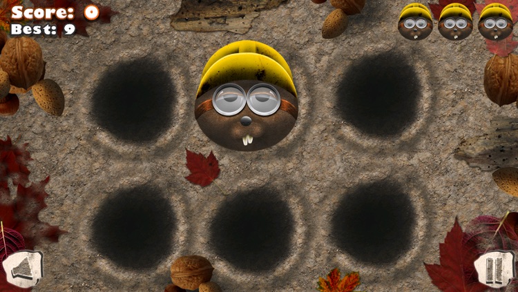 Hit The Squirrel screenshot-3