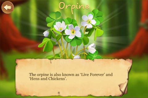 Forest Plants: Children's encyclopedia - educational game for kids screenshot 3