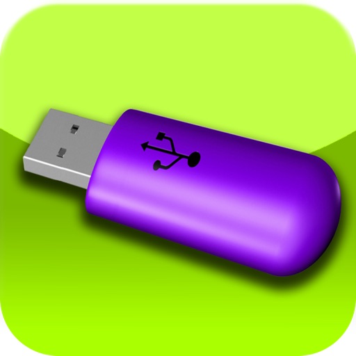 Memory Stick Icon