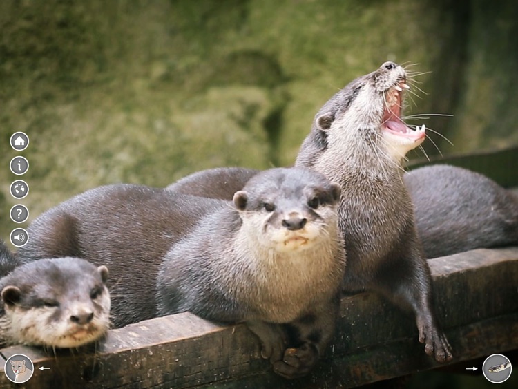 Zoo am Meer screenshot-4