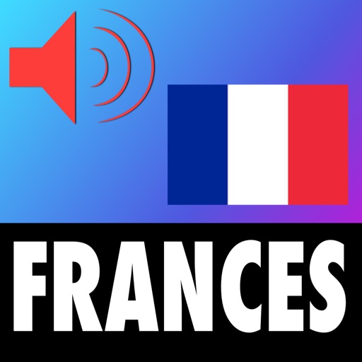 Aprende Frances - 500 Verbos con MemFrances Icon