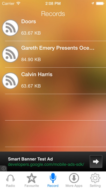 Sky FM Radio Recorder screenshot-3