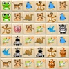 Onet Funny Animal