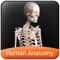 Human Anatomy Explorer app is a quick reference app that contains information about the ten different biological systems present in the human body in a visual and engaging manner
