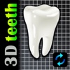 3D Teeth