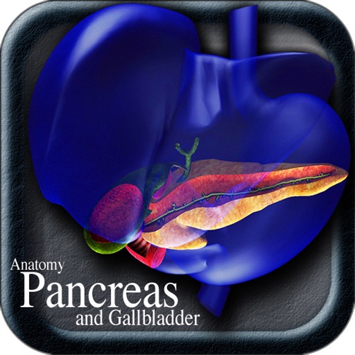 Anatomy Pancreas and Gallbladder