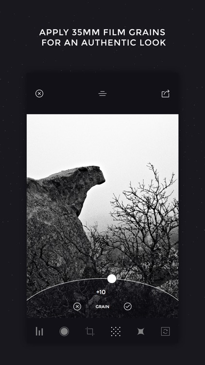 Camera Noir