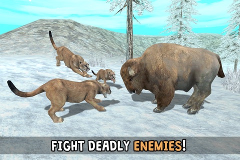 Wild Cougar Sim 3D - Real Wildlife Simulator screenshot 4