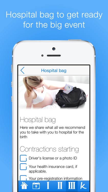 Pregnancy Checklists