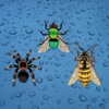 Bugs - Sticker Pack