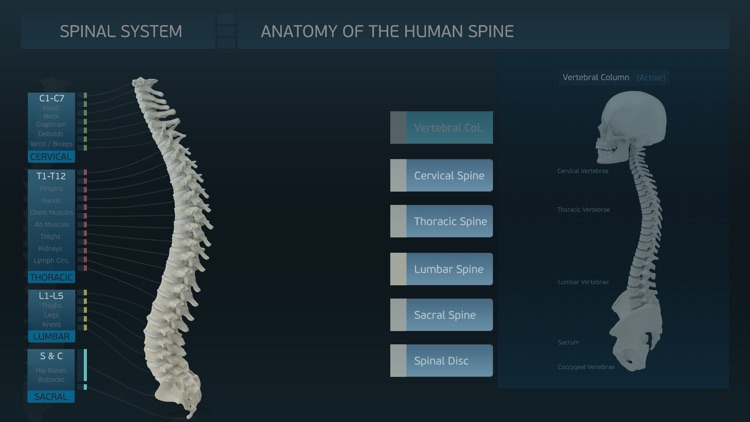 Spinal System