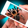 Get Scary Spider Hand Prank for iOS, iPhone, iPad Aso Report