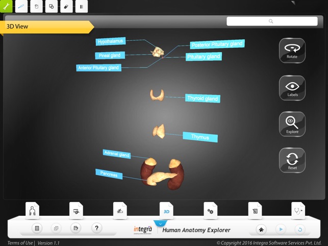 Human Anatomy Explorer - Endocrine System(圖4)-速報App