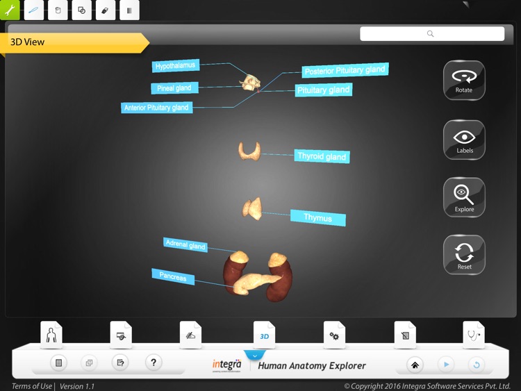 Human Anatomy Explorer - Endocrine System screenshot-3