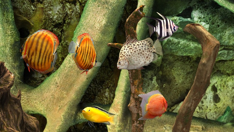 Aquariums on Apple TV