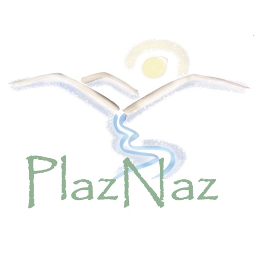 PlazNaz icon
