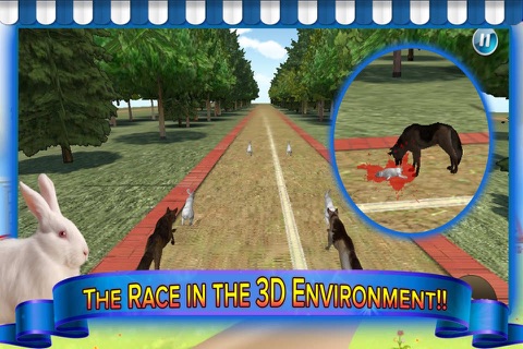 Subway Dog and Angry Rabbit Endless Running Race: Wacky Obstacles and Temple Surfers screenshot 4