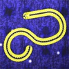 Snaking Snake