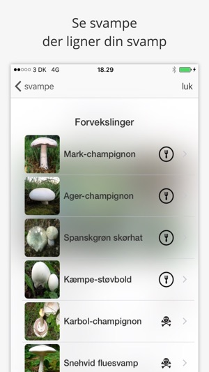 SvampeGuide(圖3)-速報App