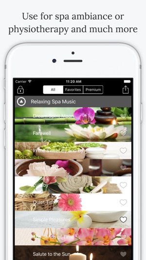 Relaxing Spa Music Pro(圖3)-速報App
