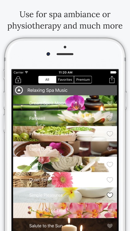 Relaxing Spa Music Pro