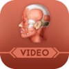 Anatomy Videos for Beginrers