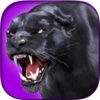 Black Panther Hunter - Wild Sniper 3D Assassin