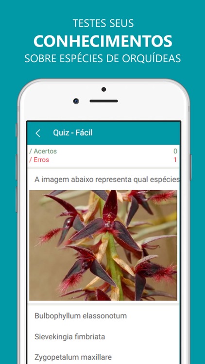 Espécies de Orquídeas screenshot-4