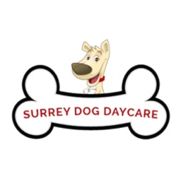 Surrey Dog Daycare