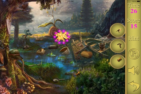 Hidden Objects Into The Forest screenshot 2