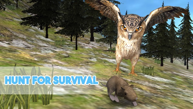 Forest Owl Simulator - Be a wild bird!(圖2)-速報App