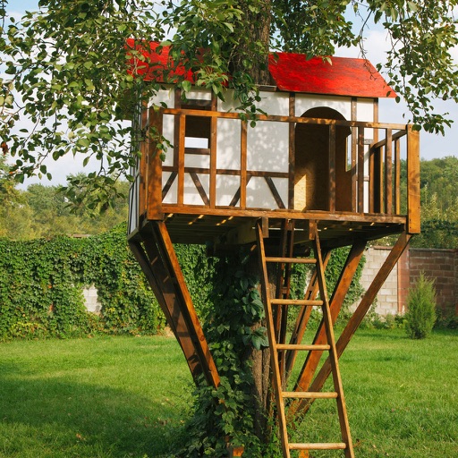 Treehouse Construction