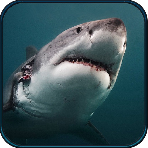 2016 Hungry Spear Shark Hunting Pro - Underwater Deep Sea Shooting Hunting Game Icon