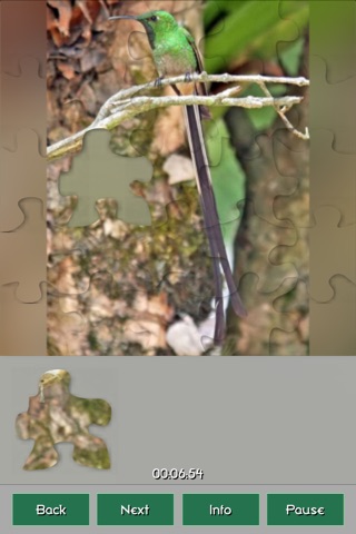 Hummingbirds Amazing Puzzles screenshot 2