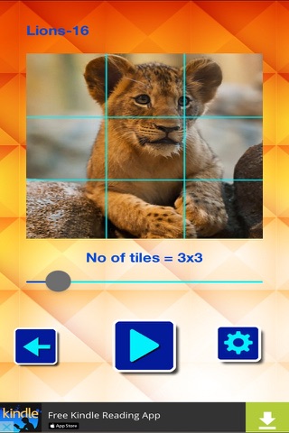 Lions and Big Cats - Puzzle Slide screenshot 4