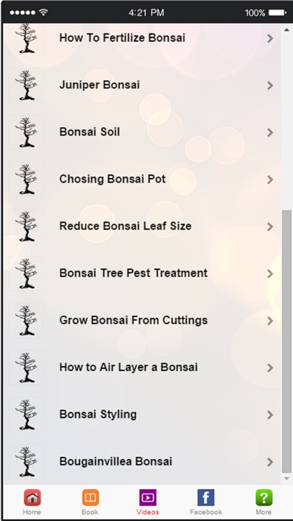Bonsai Tree - A Guide to Growing Bonsai and Making Bonsai