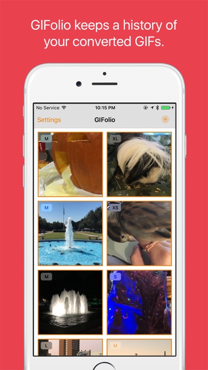GIFolio Lite - For Converting Live Photos to GIFs or Videos