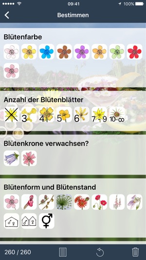 Wildpflanzen zum Genießen(圖4)-速報App