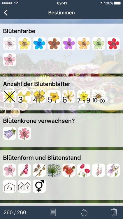 Wildpflanzen zum Genießen screenshot-3