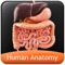 Human Anatomy Explorer app is a quick reference app that contains information about the ten different biological systems present in the human body in a visual and engaging manner