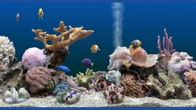 Aquarium Fish Tank HD(圖2)-速報App