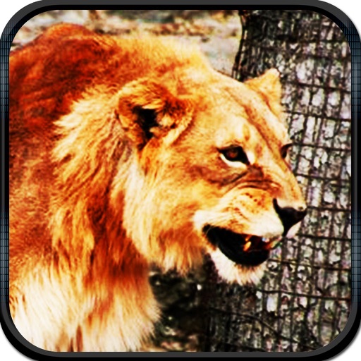 2016 American Lion Hunter Pro Challenge icon