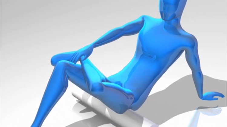 Foam Rolling Exercises screenshot-4