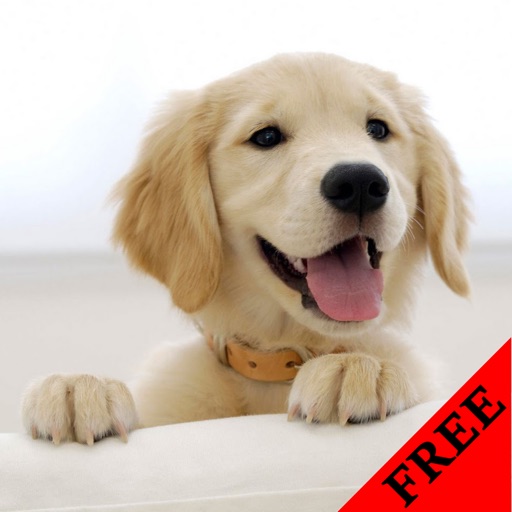 Dog Video and Photo Gallery FREE icon